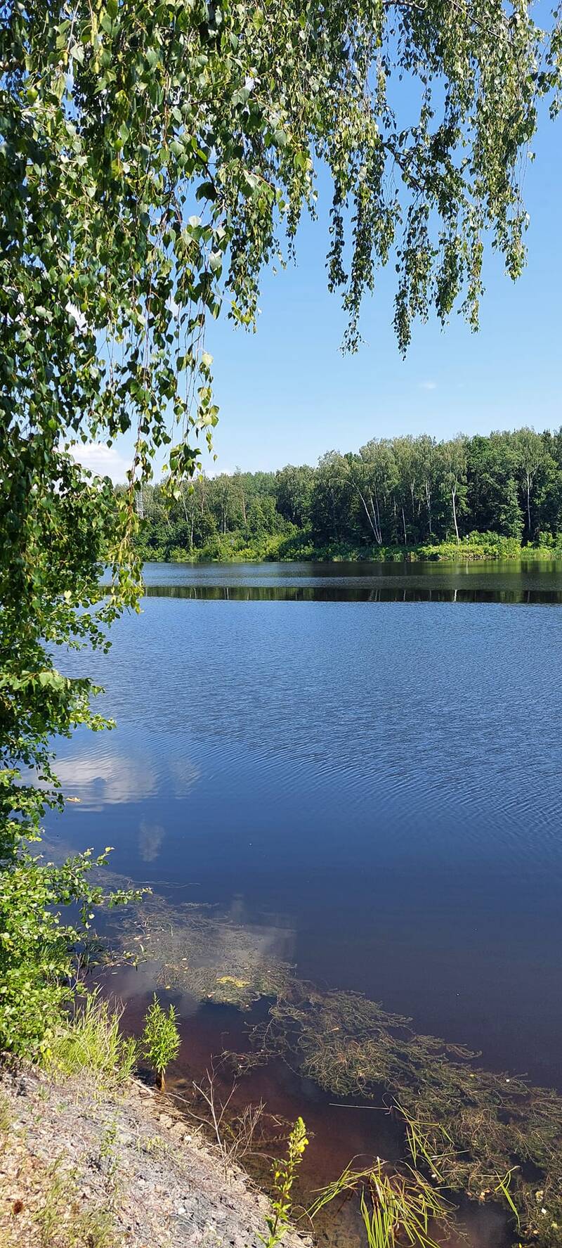 https://upforme.ru/uploads/0001/d0/60/479/183333.jpg