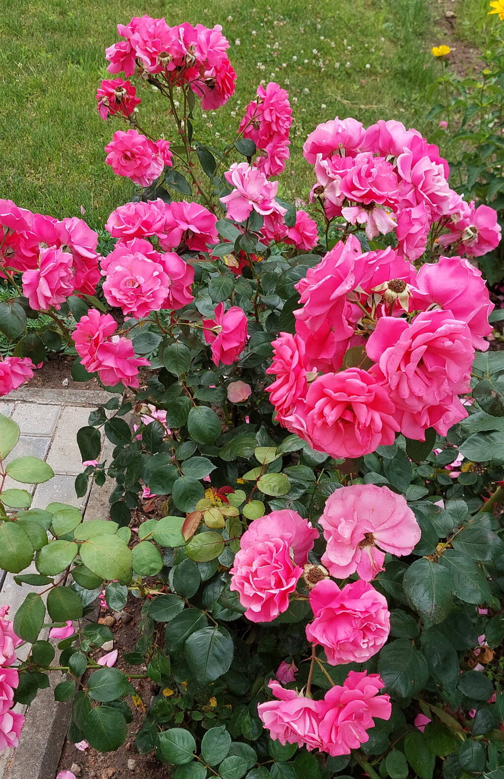 https://upforme.ru/uploads/0001/d0/60/479/258661.jpg