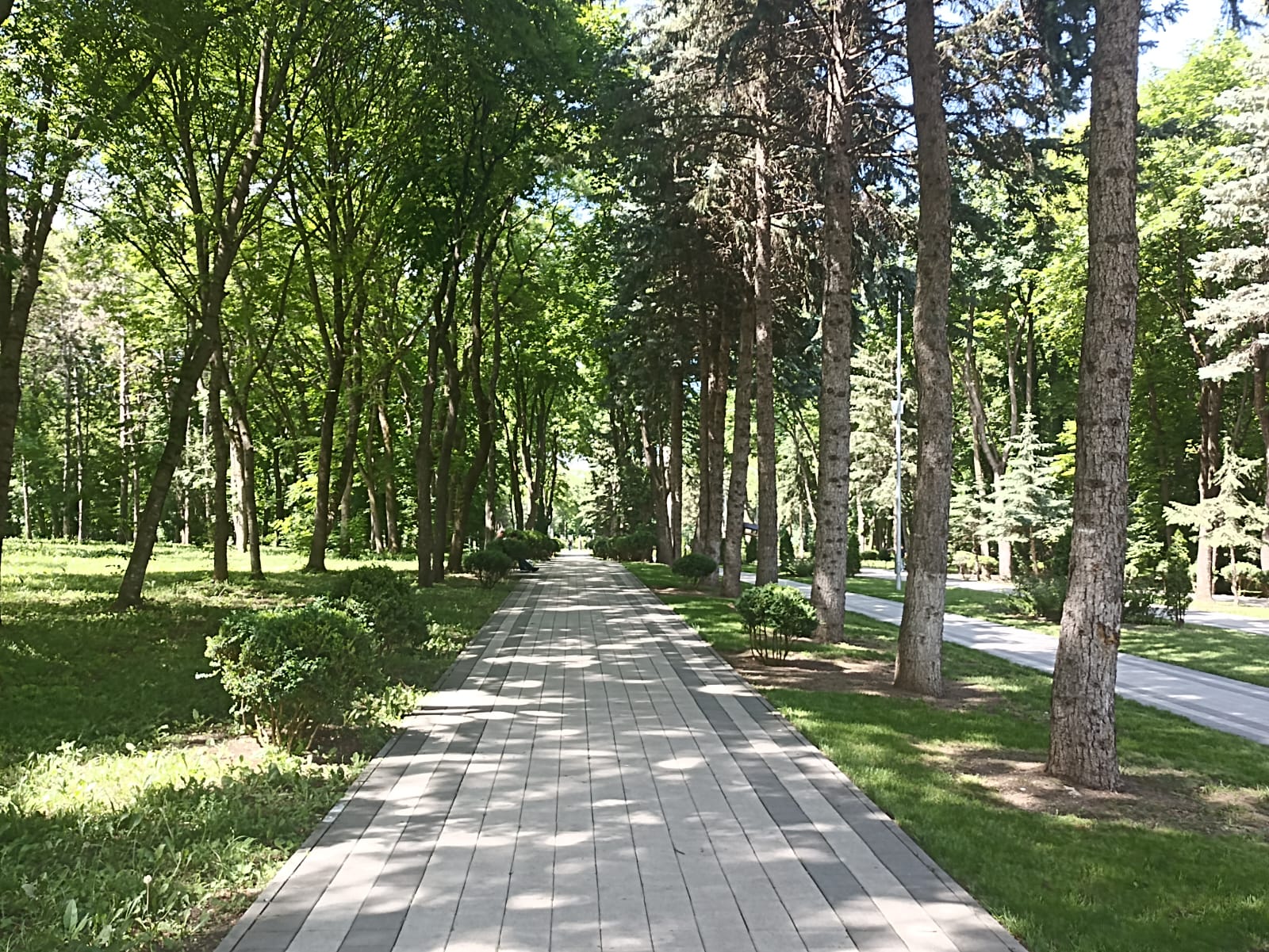 https://upforme.ru/uploads/0001/d0/60/4870/640783.jpg