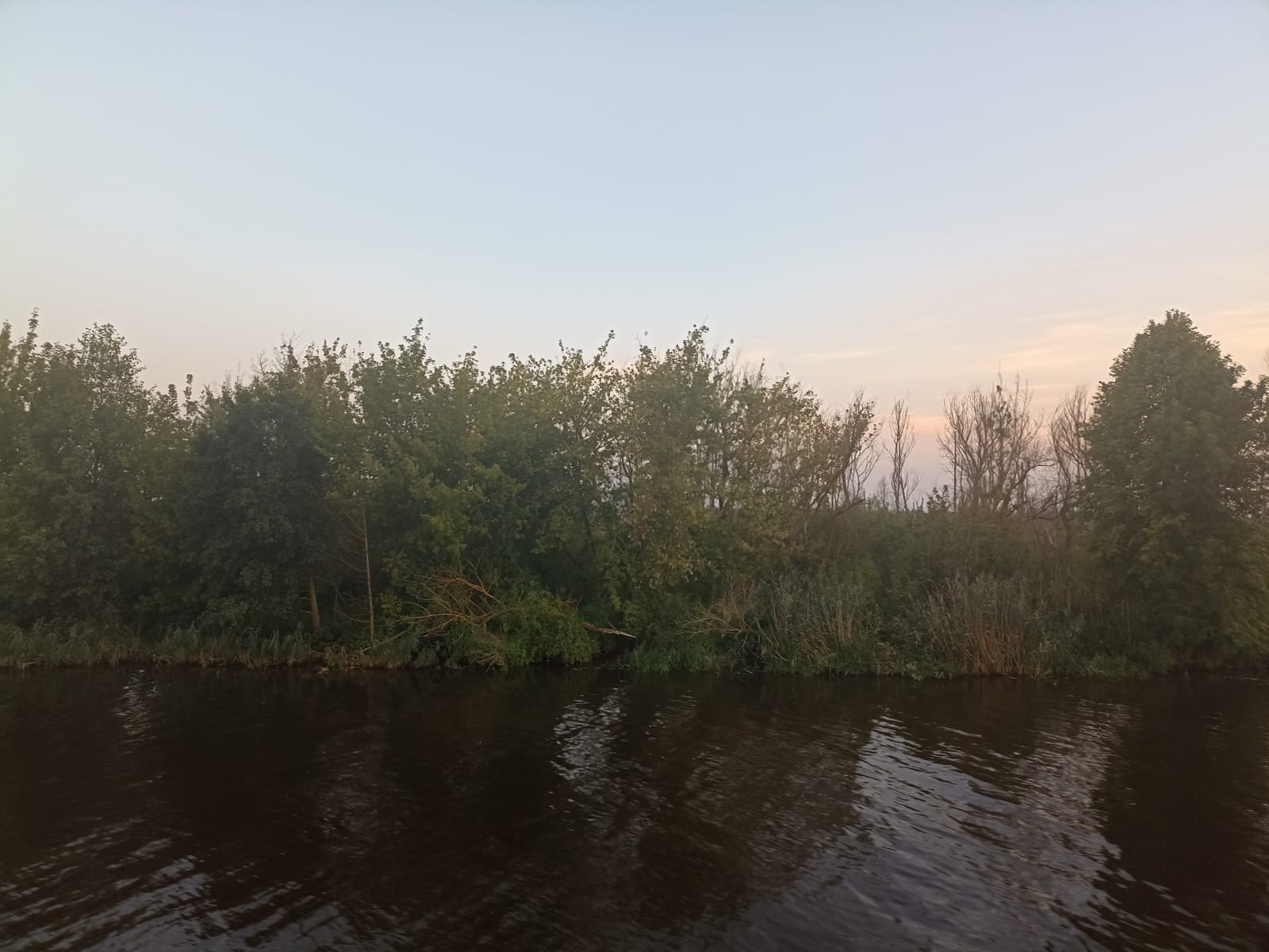 https://upforme.ru/uploads/0001/d0/60/4870/64175.jpg