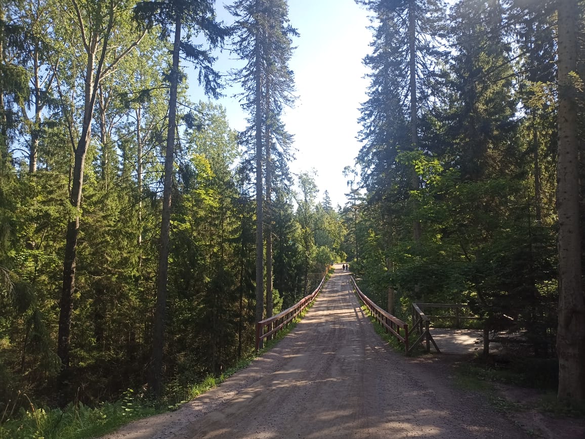 https://upforme.ru/uploads/0001/d0/60/4914/701971.jpg
