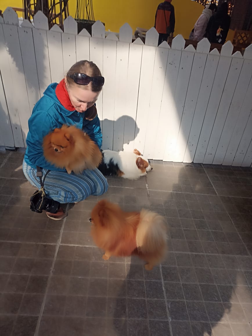 https://upforme.ru/uploads/0001/d0/60/4958/656723.jpg