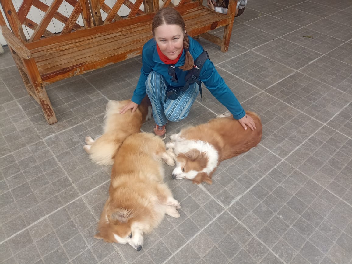 https://upforme.ru/uploads/0001/d0/60/4958/939493.jpg