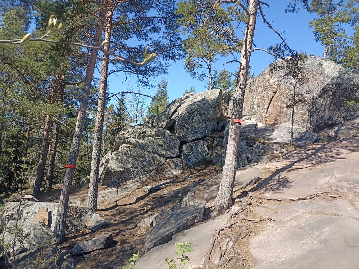 https://upforme.ru/uploads/0001/d0/60/4965/354671.jpg