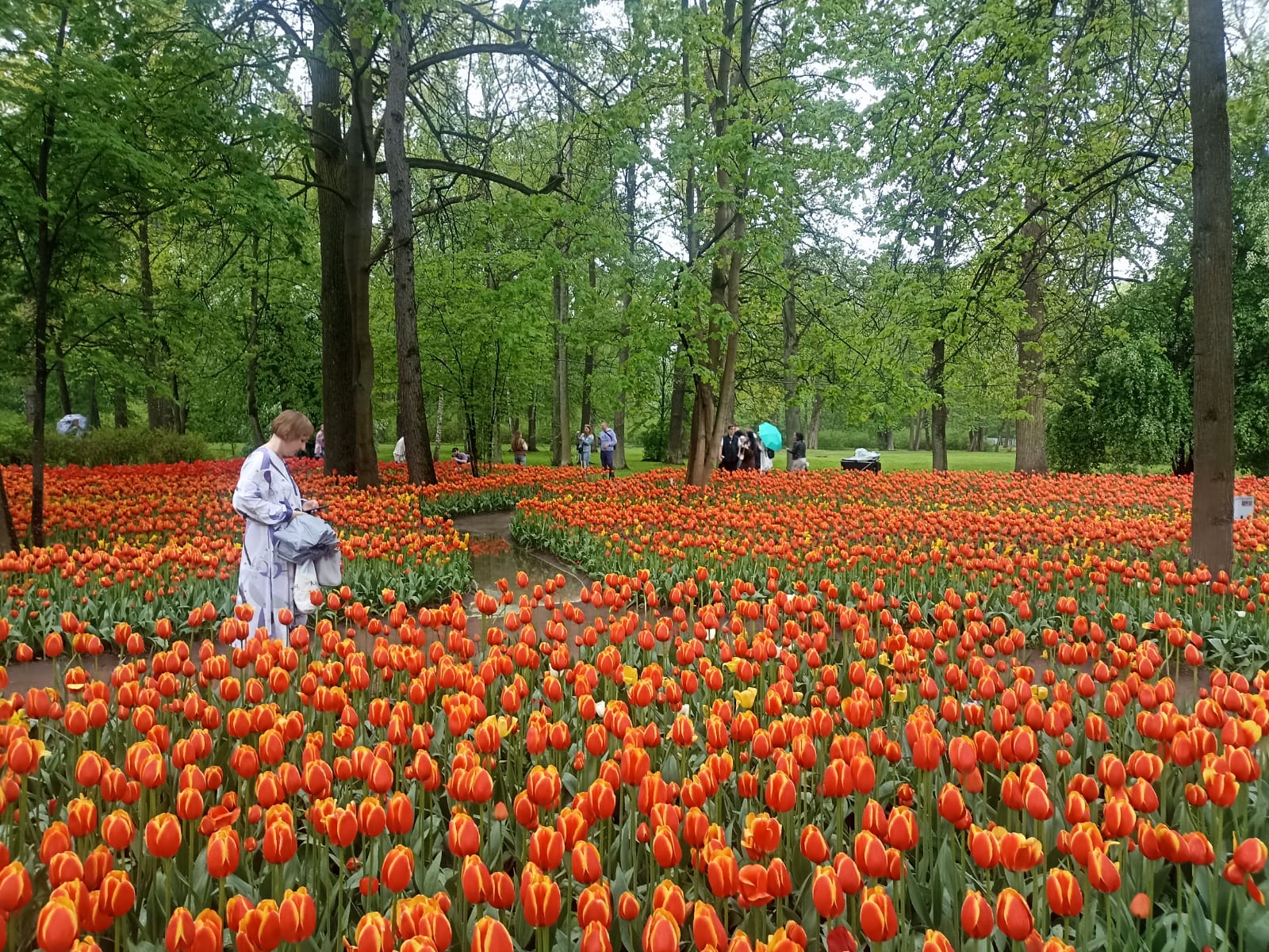 https://upforme.ru/uploads/0001/d0/60/4965/544341.jpg