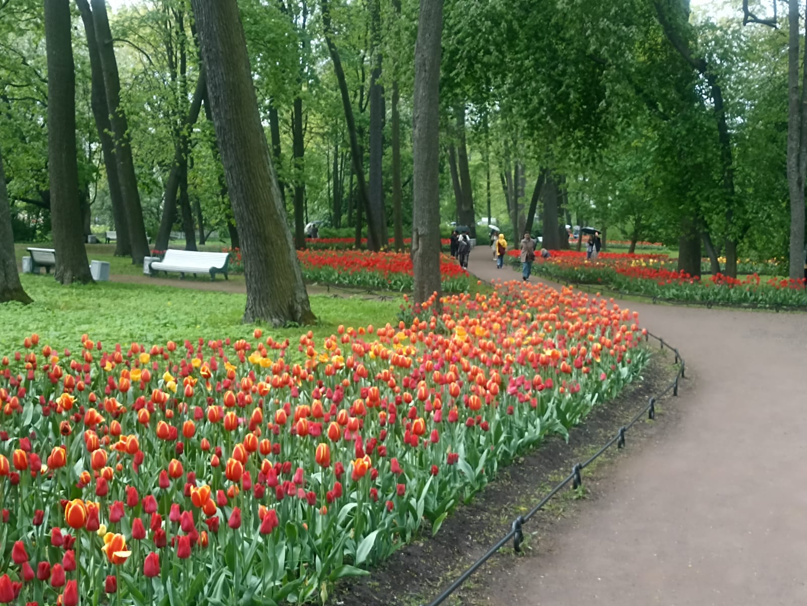 https://upforme.ru/uploads/0001/d0/60/4965/984589.jpg