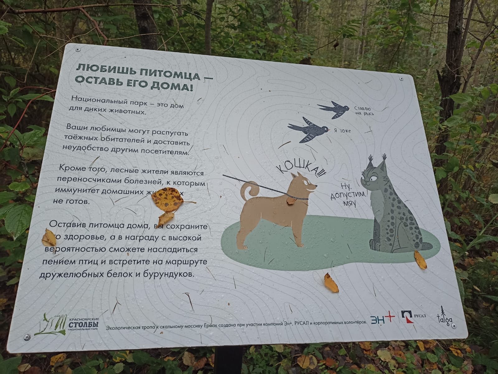 https://upforme.ru/uploads/0001/d0/60/4973/105632.jpg