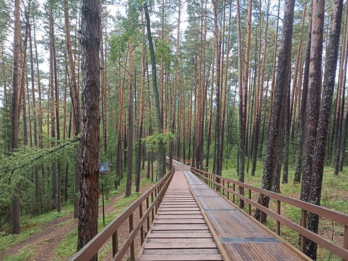 https://upforme.ru/uploads/0001/d0/60/4973/752371.jpg