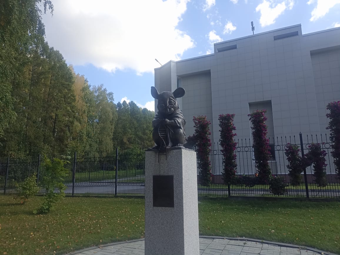 https://upforme.ru/uploads/0001/d0/60/4986/686509.jpg