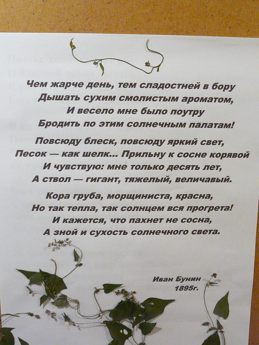 https://upforme.ru/uploads/0001/d0/60/750/331650.jpg
