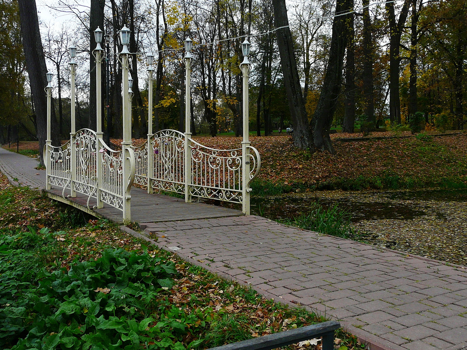 https://upforme.ru/uploads/0001/d0/60/750/911688.jpg