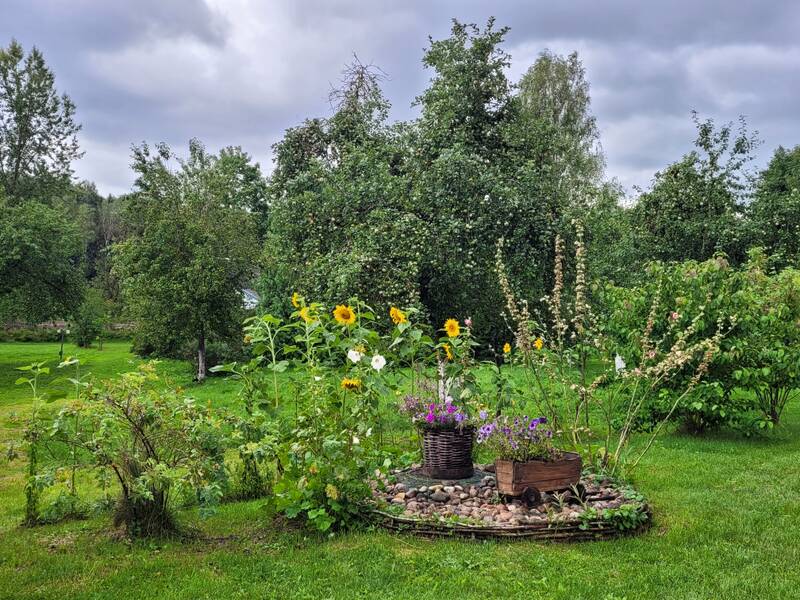 https://upforme.ru/uploads/0001/d0/60/759/383937.jpg