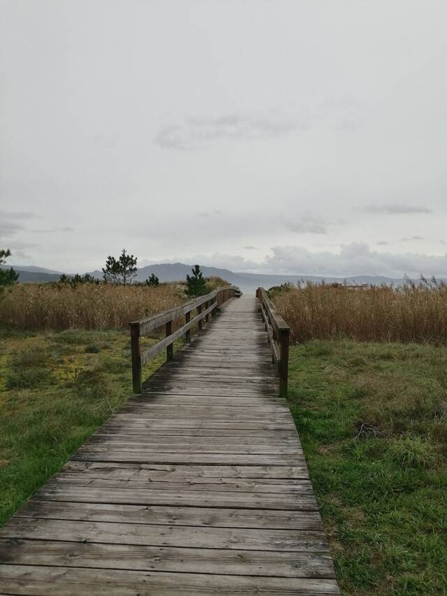 https://upforme.ru/uploads/0001/d0/60/800/113129.jpg