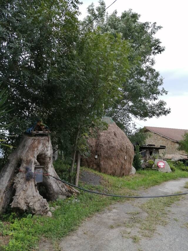 https://upforme.ru/uploads/0001/d0/60/800/404382.jpg