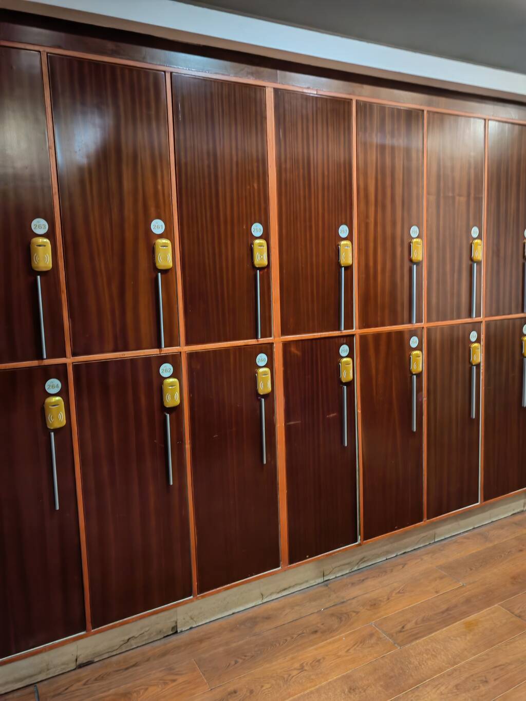 https://upforme.ru/uploads/0001/d0/60/800/480882.jpg