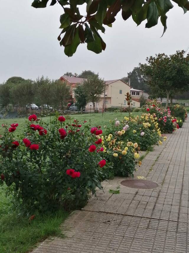 https://upforme.ru/uploads/0001/d0/60/800/615564.jpg