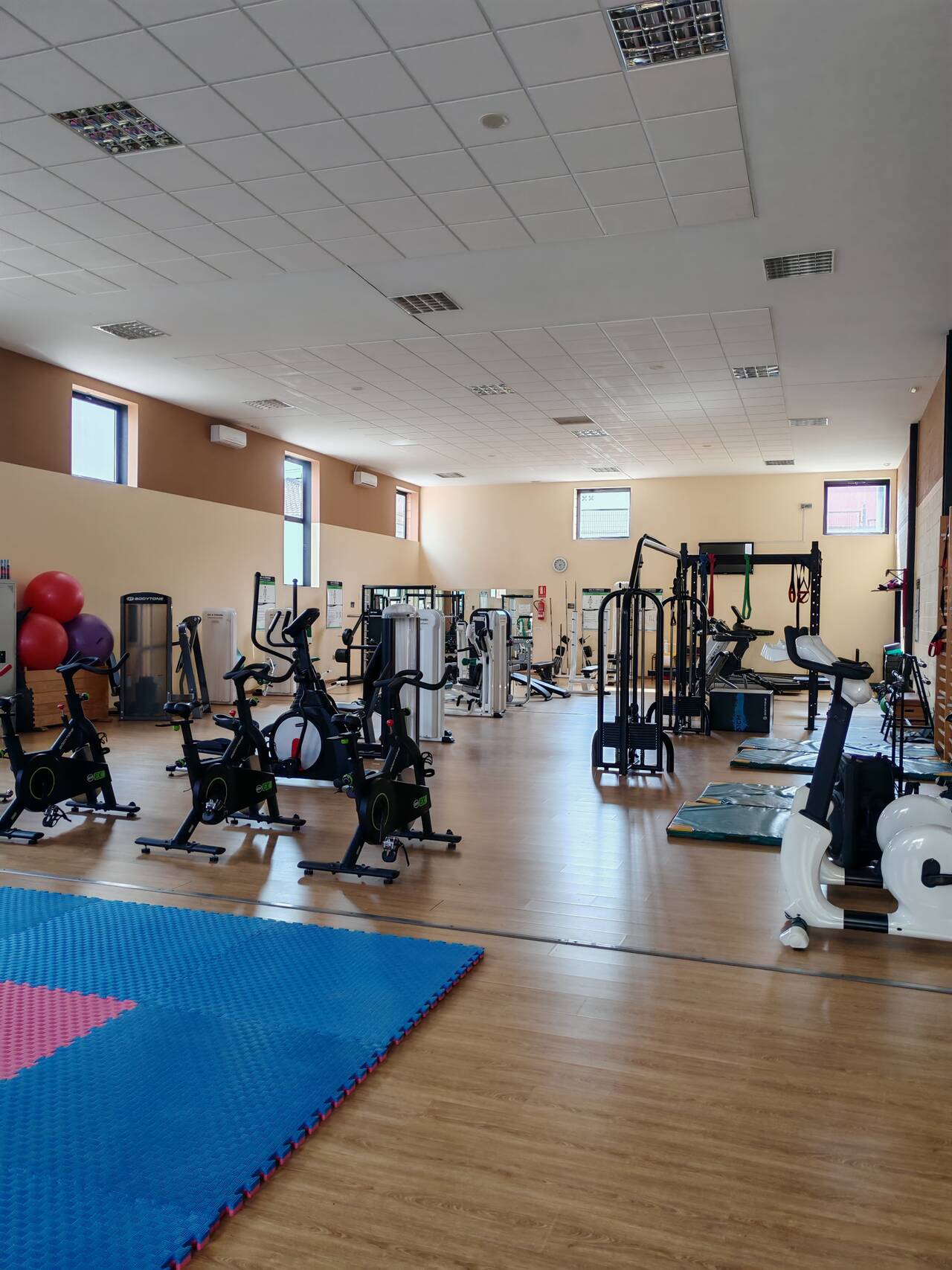 https://upforme.ru/uploads/0001/d0/60/800/643909.jpg