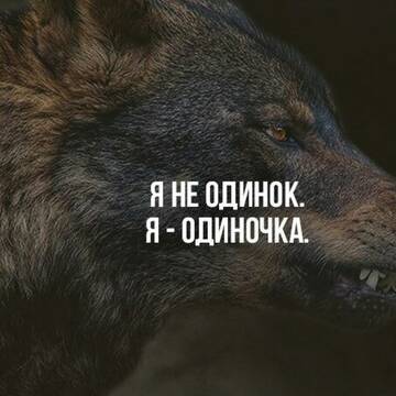 https://upforme.ru/uploads/0001/d1/67/6118/t919159.jpg