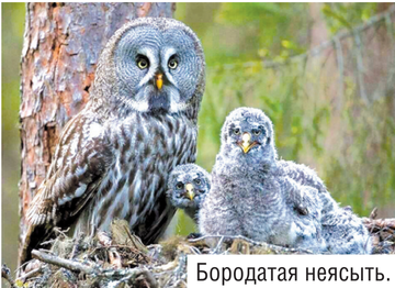 https://upforme.ru/uploads/0002/10/47/5677/t745136.png