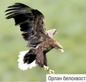 https://upforme.ru/uploads/0002/10/47/5677/t765241.png