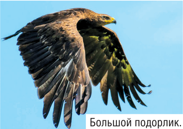 https://upforme.ru/uploads/0002/10/47/5677/t961670.png