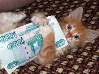 https://upforme.ru/uploads/0002/27/cf/20542-1.jpg