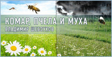 https://upforme.ru/uploads/0002/72/3f/23479/t223336.jpg