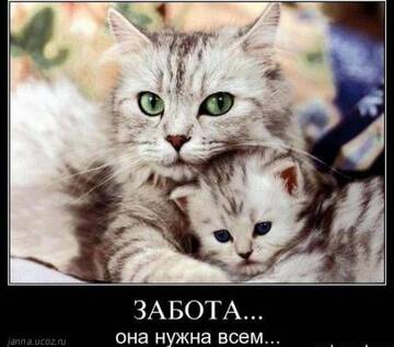 https://upforme.ru/uploads/0002/72/3f/23479/t501923.jpg
