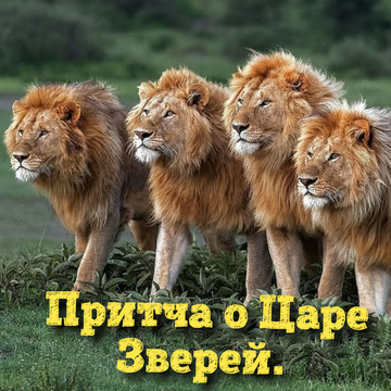 https://upforme.ru/uploads/0002/72/3f/23479/t810218.png