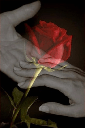 https://upforme.ru/uploads/0002/72/3f/23479/t874675.gif