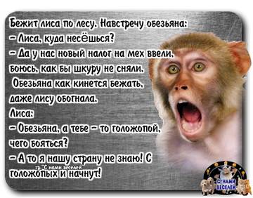 https://upforme.ru/uploads/0002/72/3f/23479/t939412.jpg