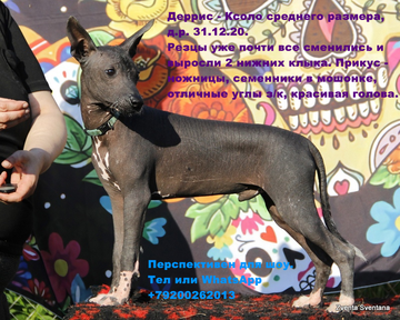 https://upforme.ru/uploads/0002/a6/c7/415/t666153.png