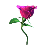 https://upforme.ru/uploads/0002/c7/21/2/358787.gif