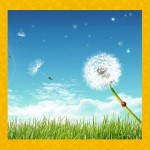 https://upforme.ru/uploads/0002/c7/21/2/425716.jpg