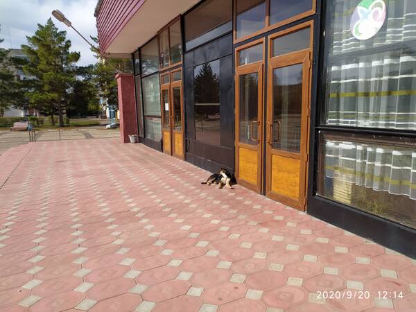https://upforme.ru/uploads/0002/dc/f7/2/t841092.jpg