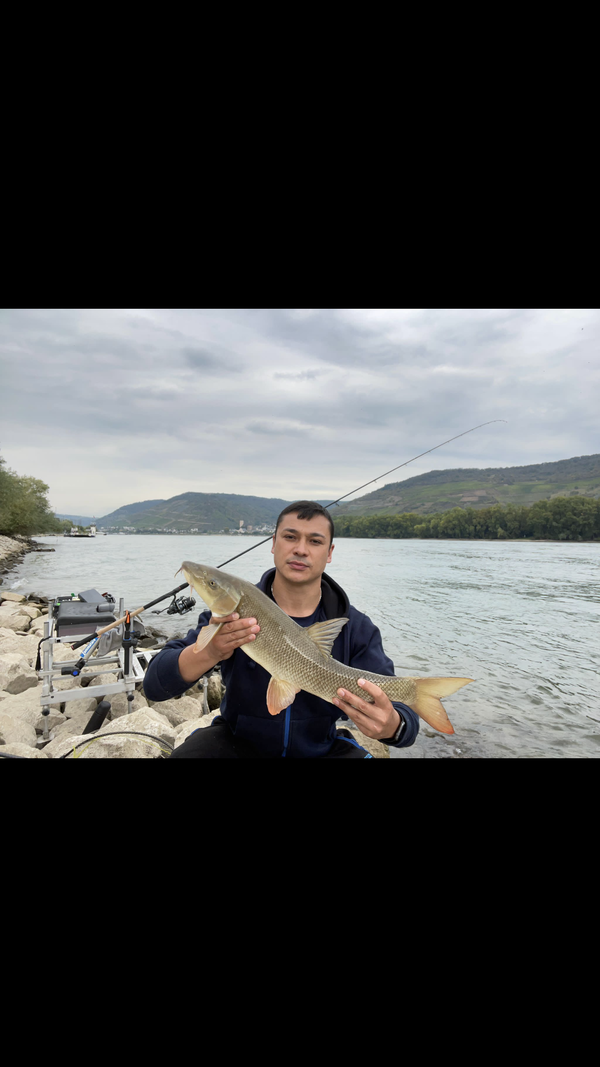 https://upforme.ru/uploads/0002/f9/2d/148/t578854.png