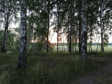 https://upforme.ru/uploads/0002/f9/2d/5464/t99965.jpg