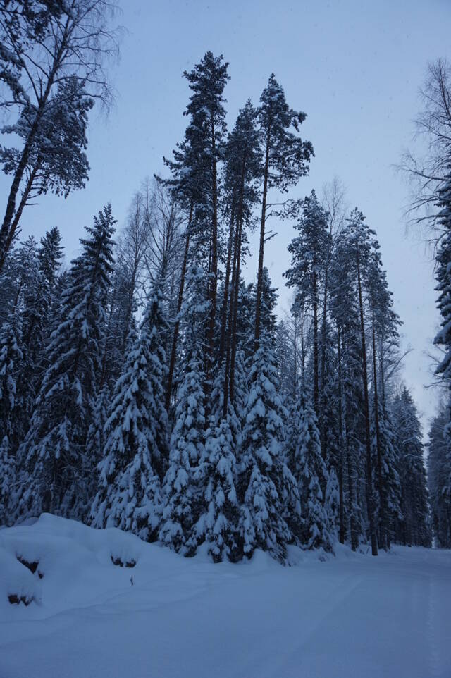 https://upforme.ru/uploads/0003/e3/87/5/578105.jpg