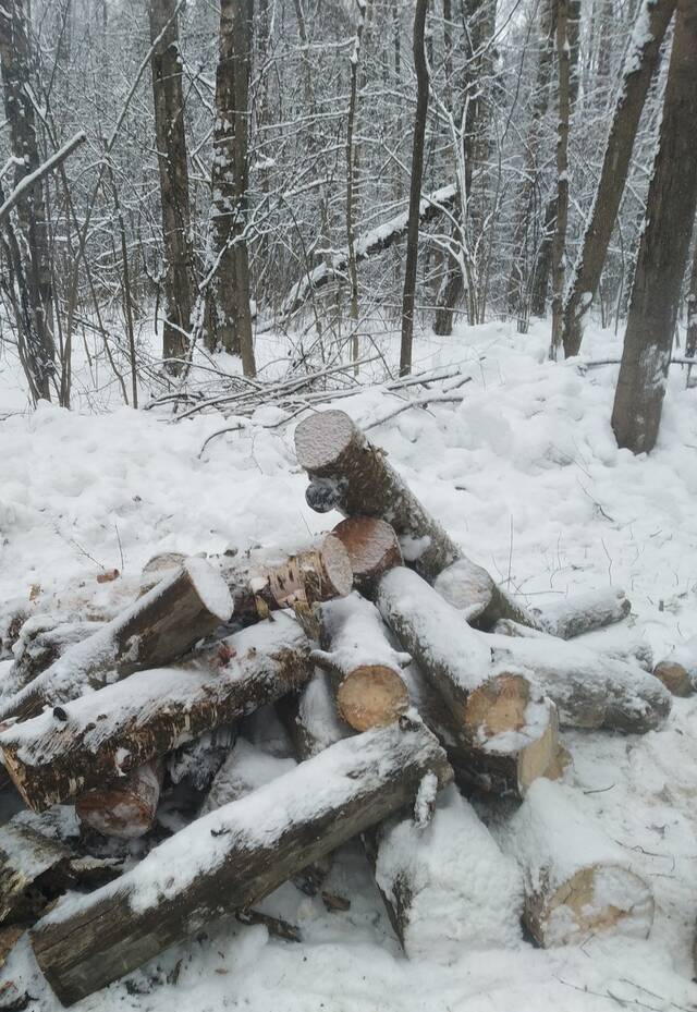 https://upforme.ru/uploads/0003/e3/87/5/983175.jpg