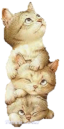 https://upforme.ru/uploads/0003/e6/e2/14605-2-f.gif