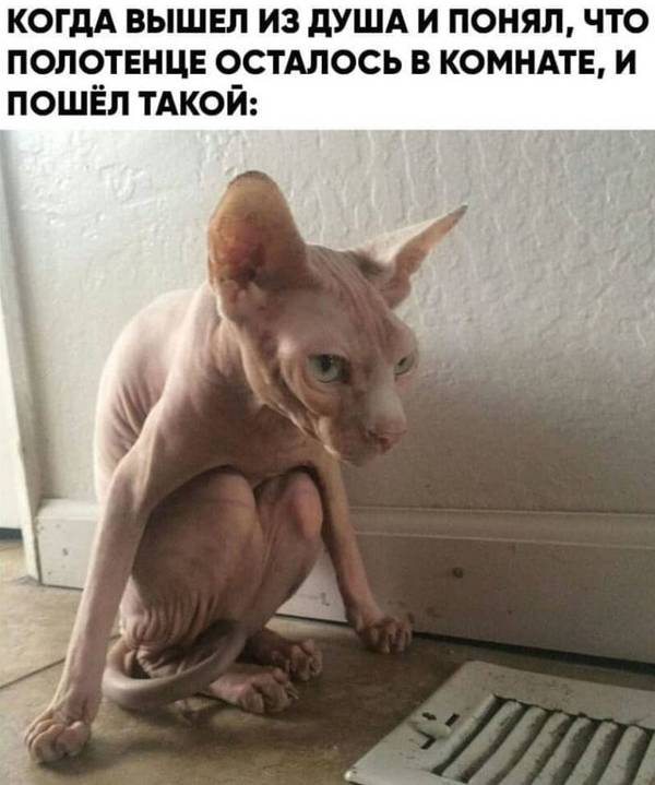 https://upforme.ru/uploads/0004/02/e8/1734/t10047.jpg