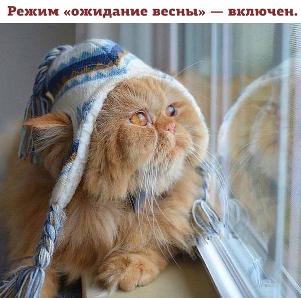 https://upforme.ru/uploads/0004/02/e8/1734/t13183.jpg