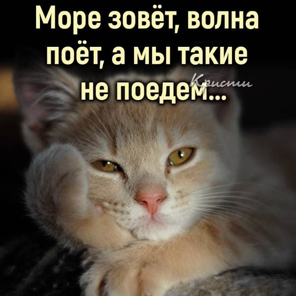 https://upforme.ru/uploads/0004/02/e8/1734/t138715.jpg