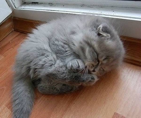 https://upforme.ru/uploads/0004/02/e8/1734/t150750.jpg