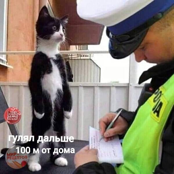 https://upforme.ru/uploads/0004/02/e8/1734/t155145.jpg
