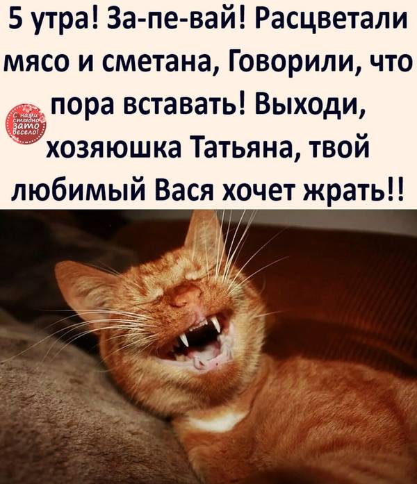 https://upforme.ru/uploads/0004/02/e8/1734/t157432.jpg