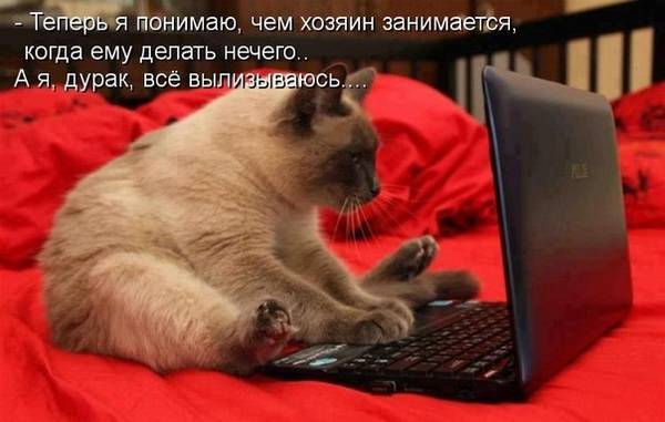 https://upforme.ru/uploads/0004/02/e8/1734/t16331.jpg