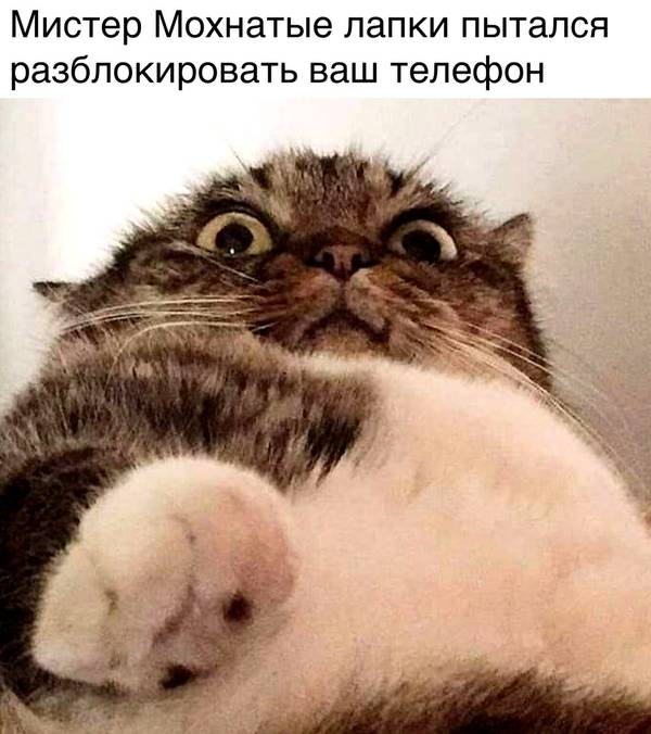 https://upforme.ru/uploads/0004/02/e8/1734/t16721.jpg