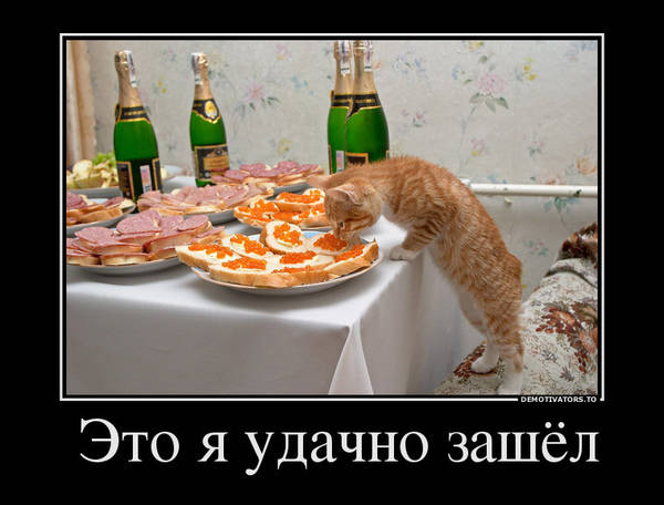 https://upforme.ru/uploads/0004/02/e8/1734/t179158.jpg