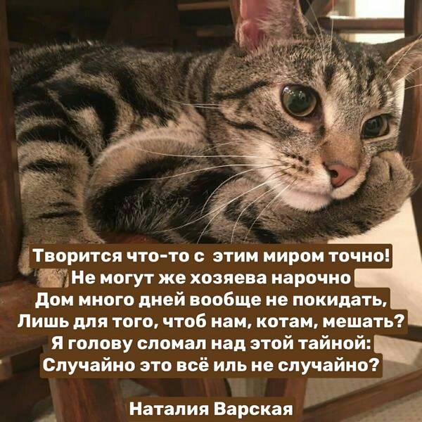 https://upforme.ru/uploads/0004/02/e8/1734/t182368.jpg